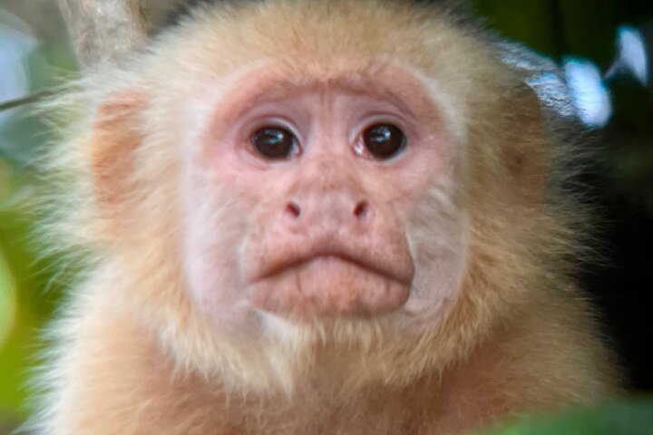 Private tour in Palo Verde with Boat ride  - Photo 1 of 25